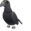 Roblox Adopt Me Crow