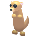 Roblox Adopt Me Meerkat