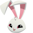 Animal Jam Bunny