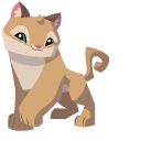 Animal Jam Cougar