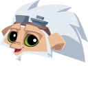 Animal Jam Graham and Key