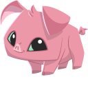 Animal Jam Pig and Pig Plushie