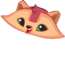 Animal Jam Raccoon and Rainbow Raccoon