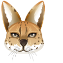 African Serval