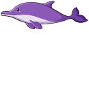 Amazon Pink River Dolphin