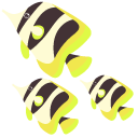 Angelfish