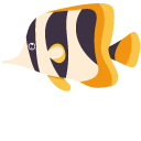 Angelfish