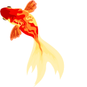 Aquarelle Goldfish