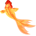 Aquarelle Goldfish