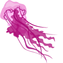 Aquarelle Jellyfish