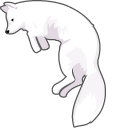 Arctic Fox