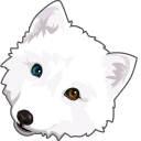 Arctic Fox