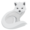 Arctic Snow Fox