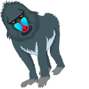 Baboon