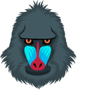 Baboon