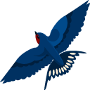 Barn Swallow