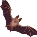 Bat