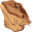 Bearded Dragon