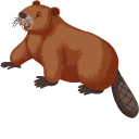 Beaver and Log