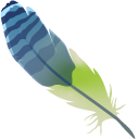 Bird Feather