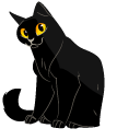 Black Cat