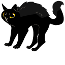 Black Cat