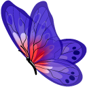 Blue and Purple Butterfly