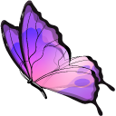 Blue and Purple Butterfly