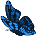 Blue Monarch Butterfly