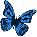 Blue Monarch Butterfly