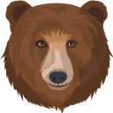 Brown Bear