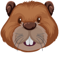Brown Beaver