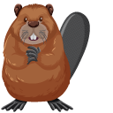 Brown Beaver
