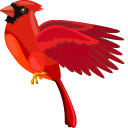 Cardinal