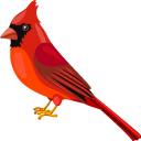 Cardinal