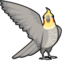 Cockatiel