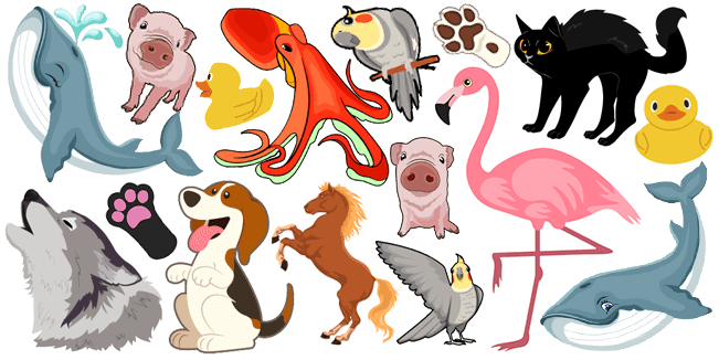 Animals