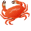 Crab