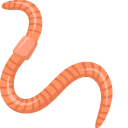 Earthworm
