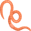 Earthworm