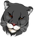 Fierce Black Panther