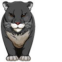 Fierce Black Panther