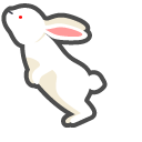 Florida White Albino Rabbit