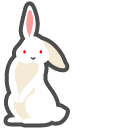 Florida White Albino Rabbit