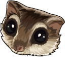 Flying Squirrel