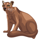 Fossa