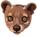 Fossa