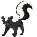 Friendly Skunk