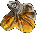 Frilled Lizard