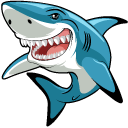 Funny Great White Shark